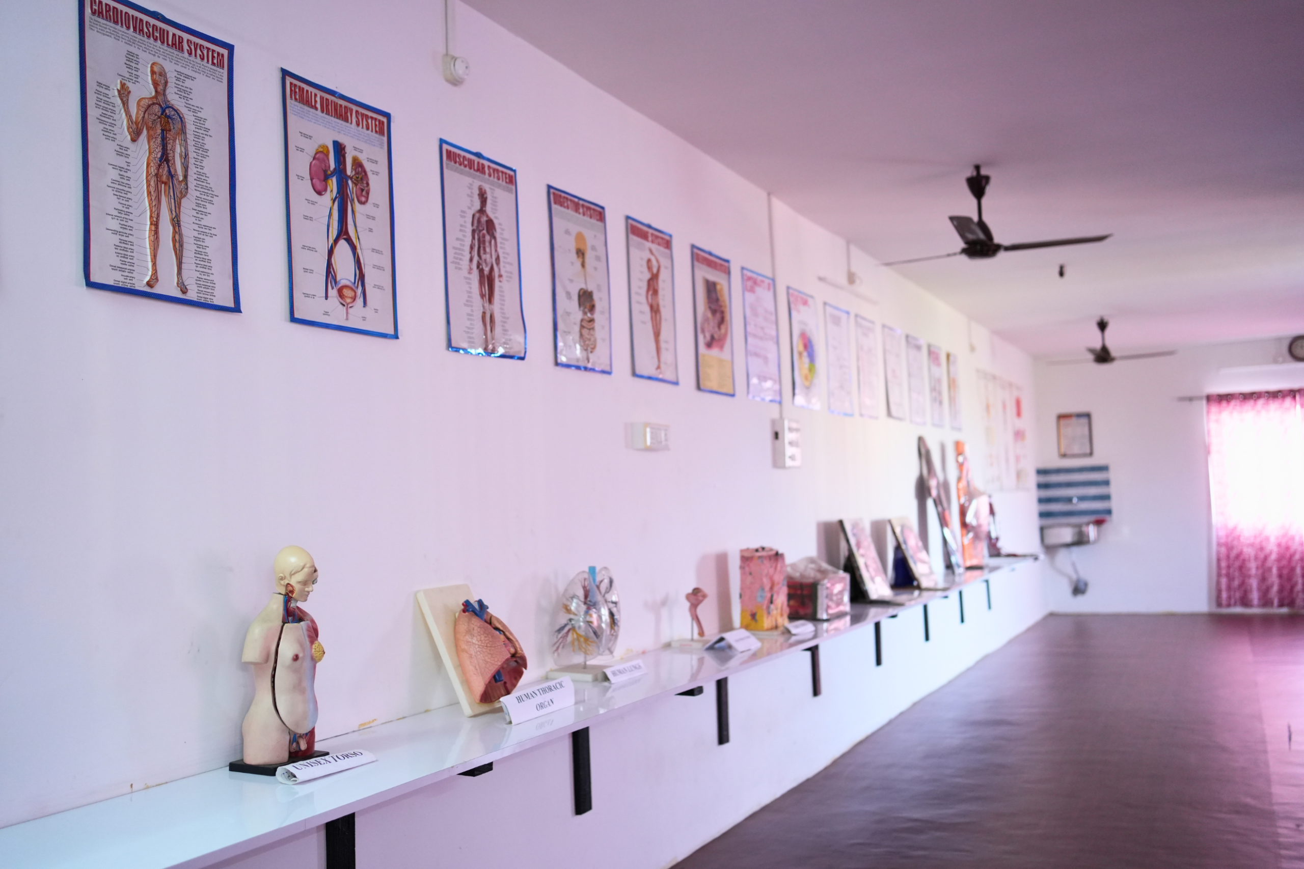 Dispur Hospitals School of Nursing - Guwahati